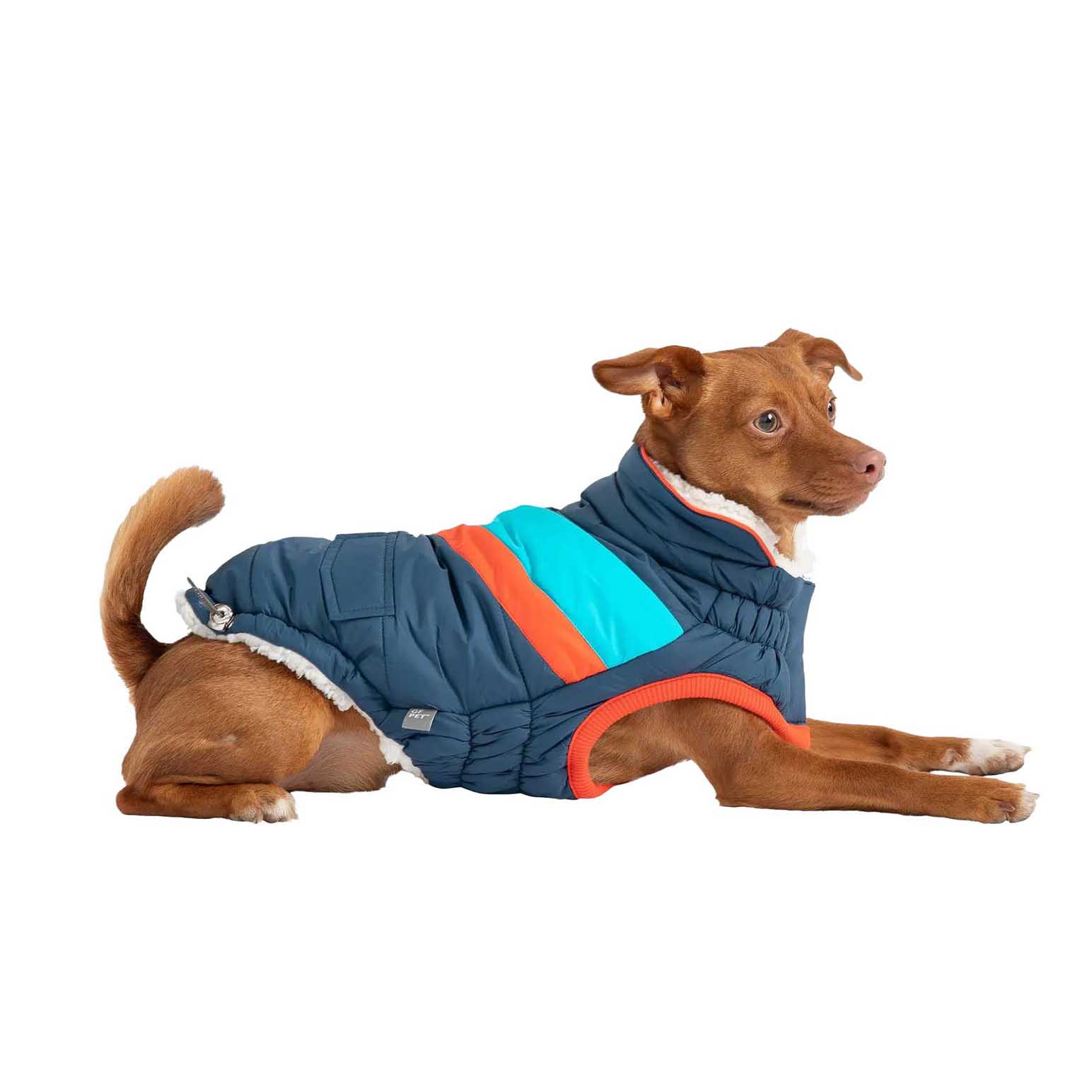 GF Pet - Elasto-Fit&reg; Alpine Puffer Dark Blue